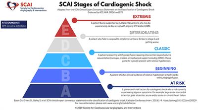 Lingua Franca of Cardiogenic Shock: Speaking the Same Language